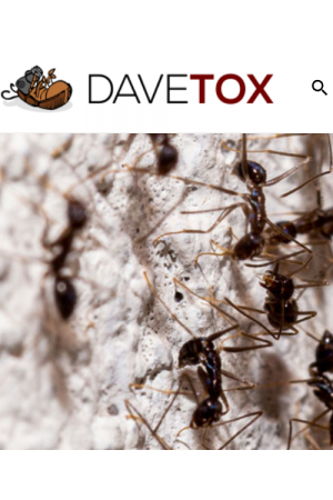 davetox.hu