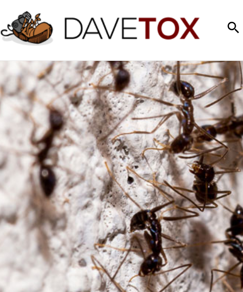 davetox.hu